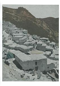 JACQUES MAJORELLE (105)